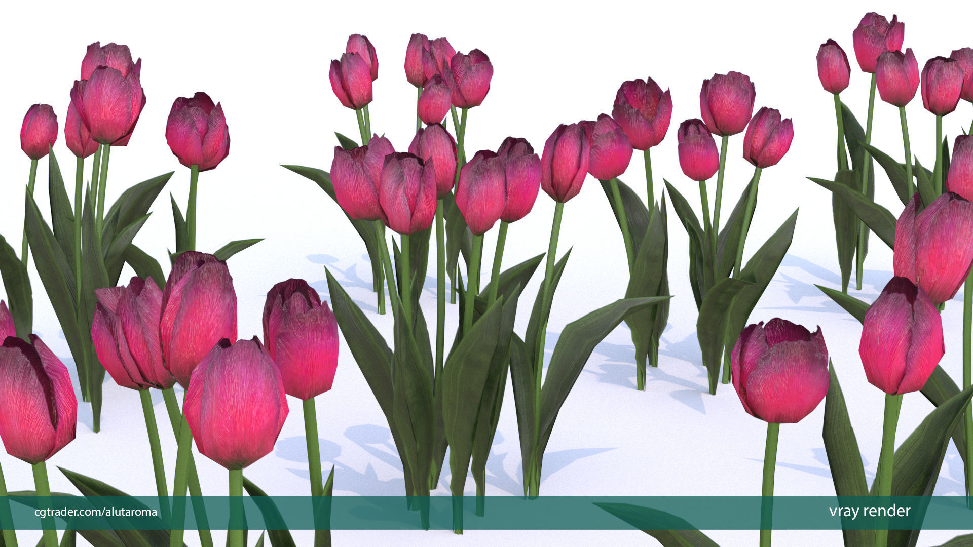Tulips very LOW POLY detailed textures 63 variations  Low-poly 3D model_5