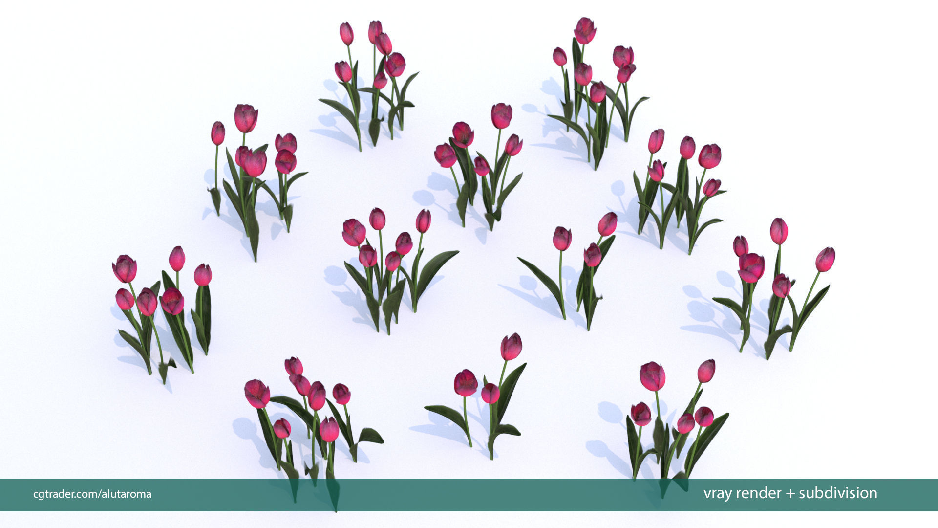 Tulips very LOW POLY detailed textures 63 variations  Low-poly 3D model_13