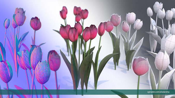 Tulips very LOW POLY detailed textures 63 variations  Low-poly 3D model