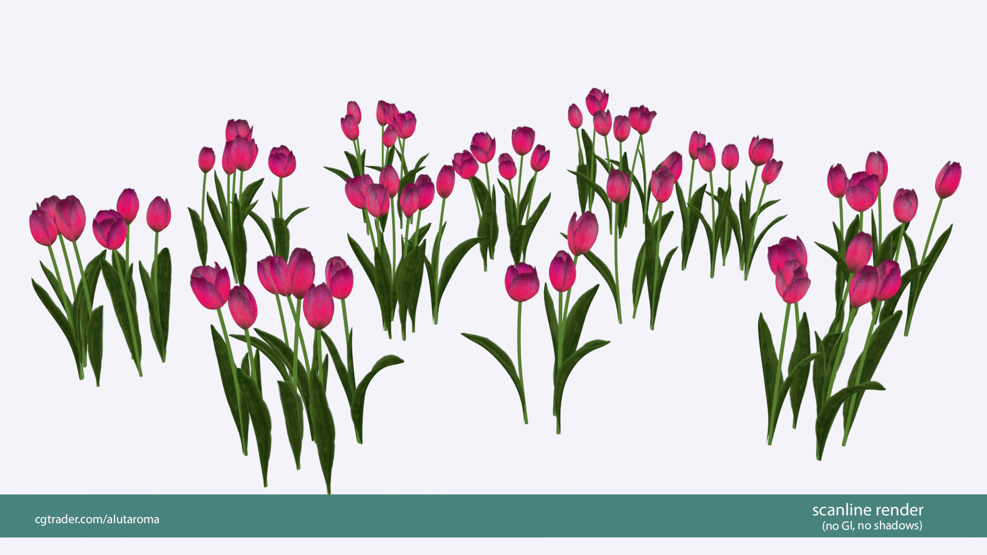 Tulips very LOW POLY detailed textures 63 variations  Low-poly 3D model_10