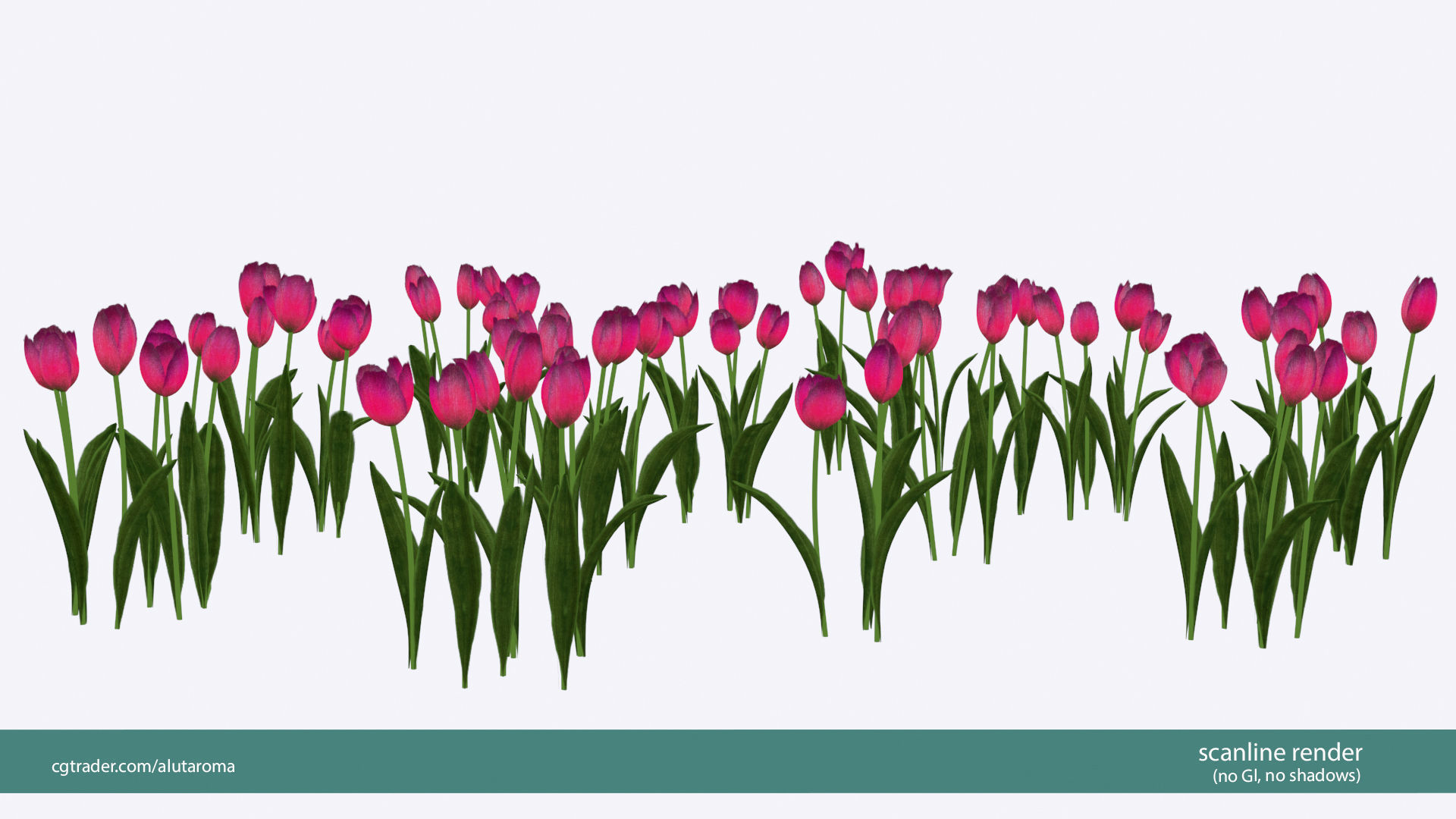 Tulips very LOW POLY detailed textures 63 variations  Low-poly 3D model_20