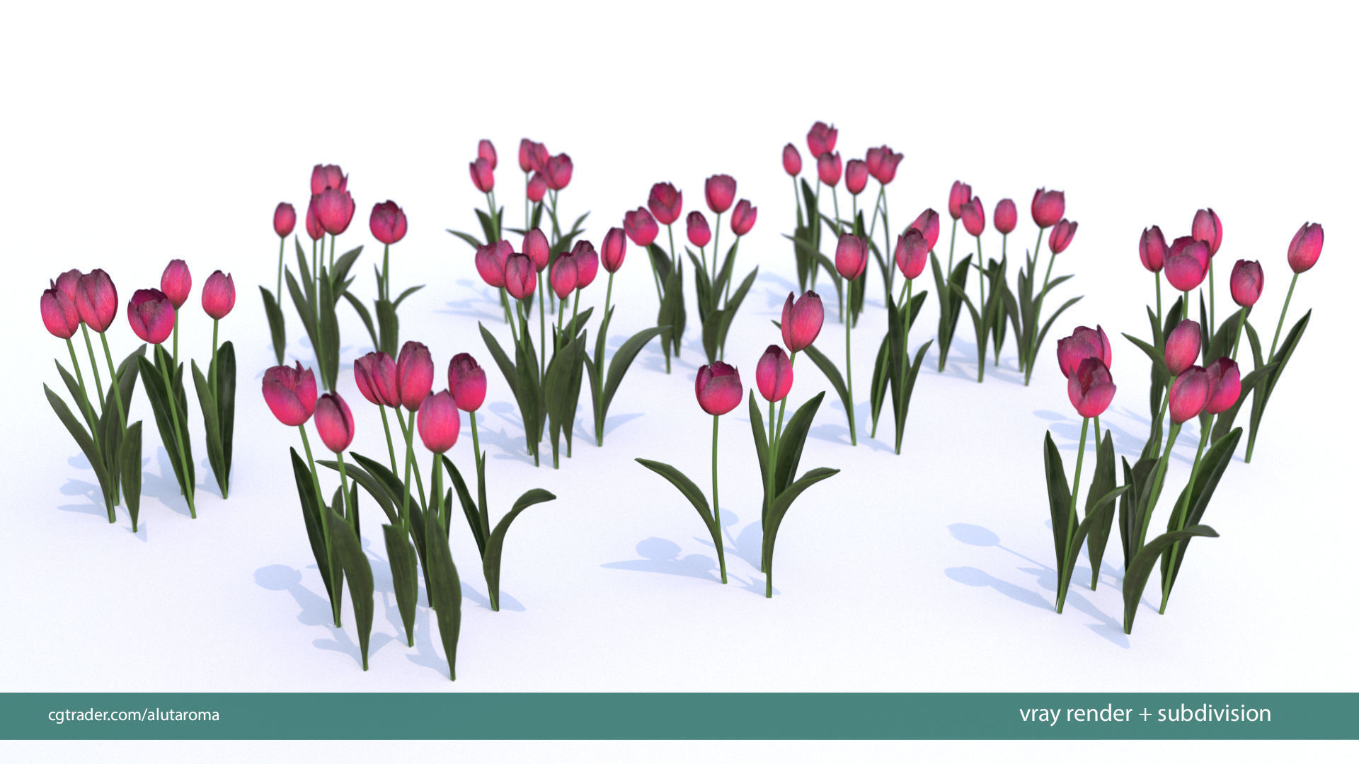 Tulips very LOW POLY detailed textures 63 variations  Low-poly 3D model_8