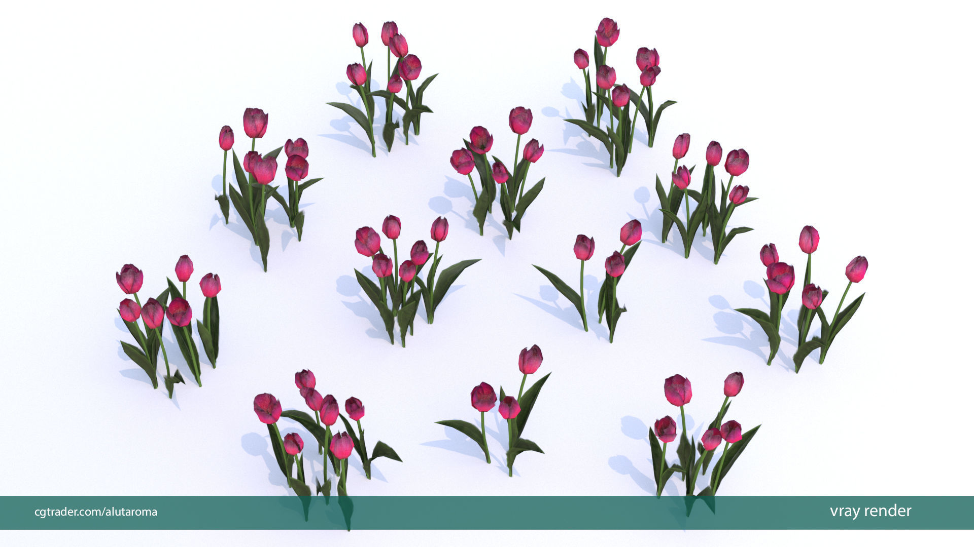 Tulips very LOW POLY detailed textures 63 variations  Low-poly 3D model_16