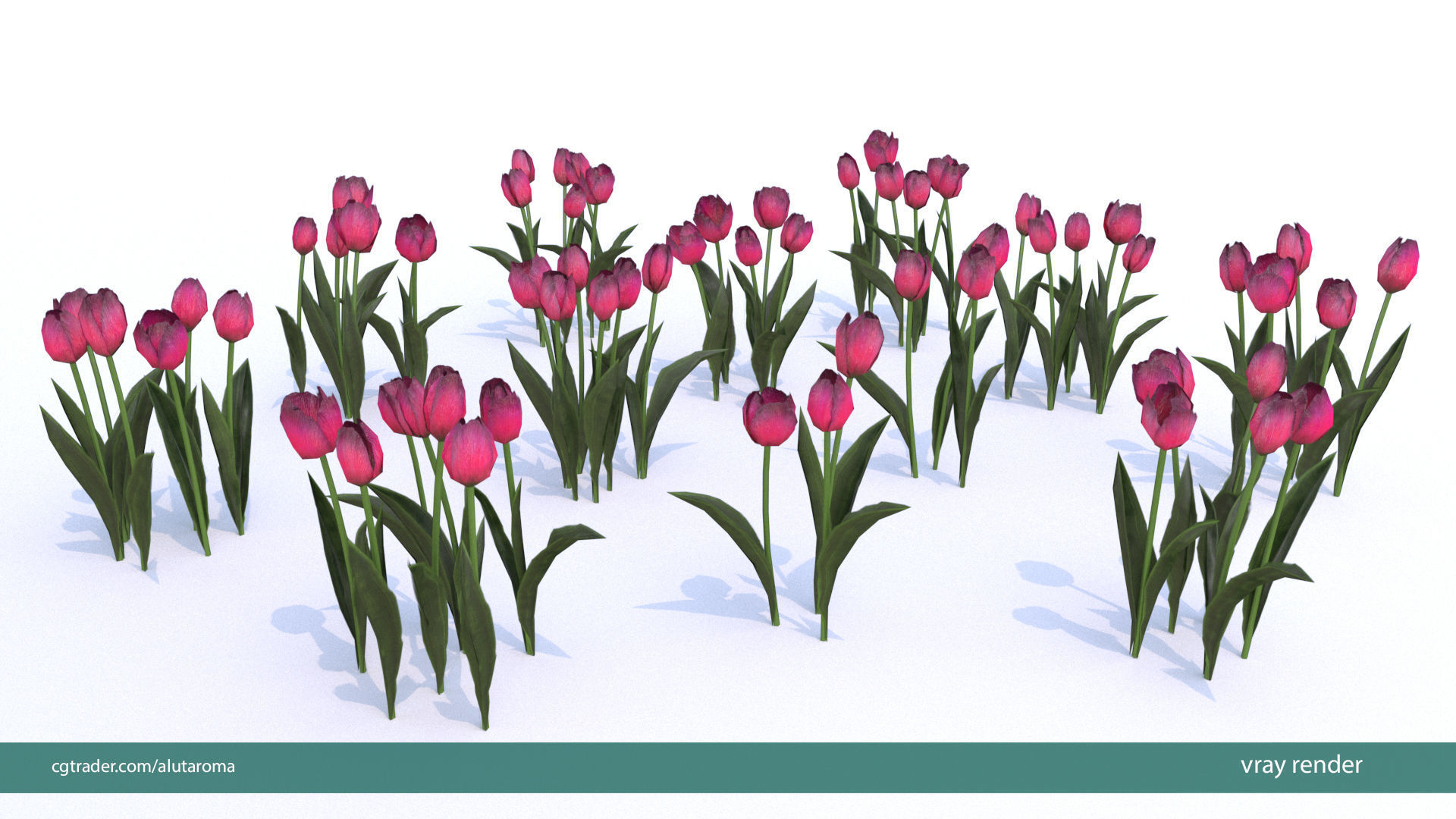 Tulips very LOW POLY detailed textures 63 variations  Low-poly 3D model_11