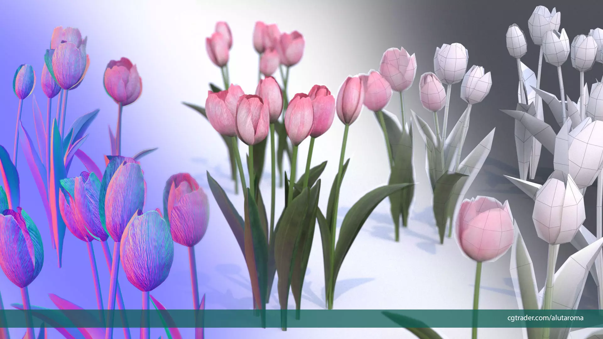 Tulips very LOW POLY detailed textures 63 variations Low-poly 3D model