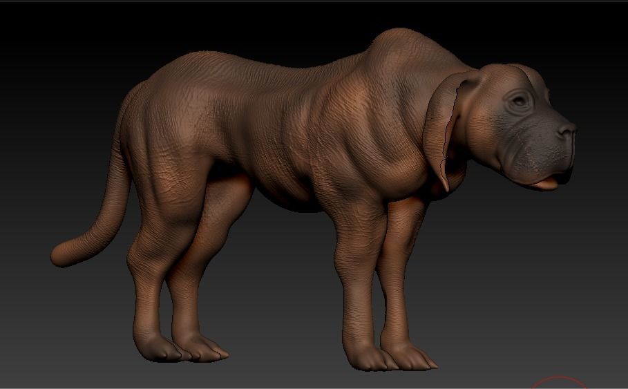 GREAT DANE 3D model_6