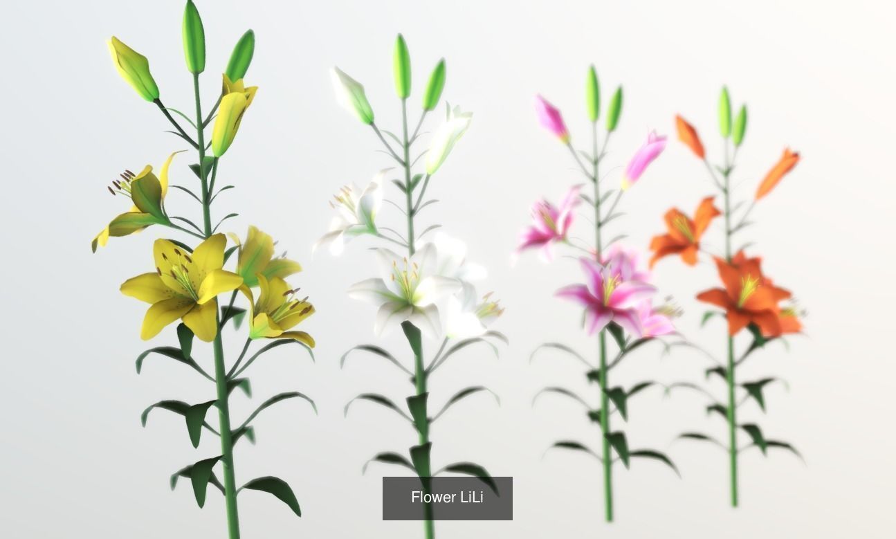 Flower Collections Country World _6