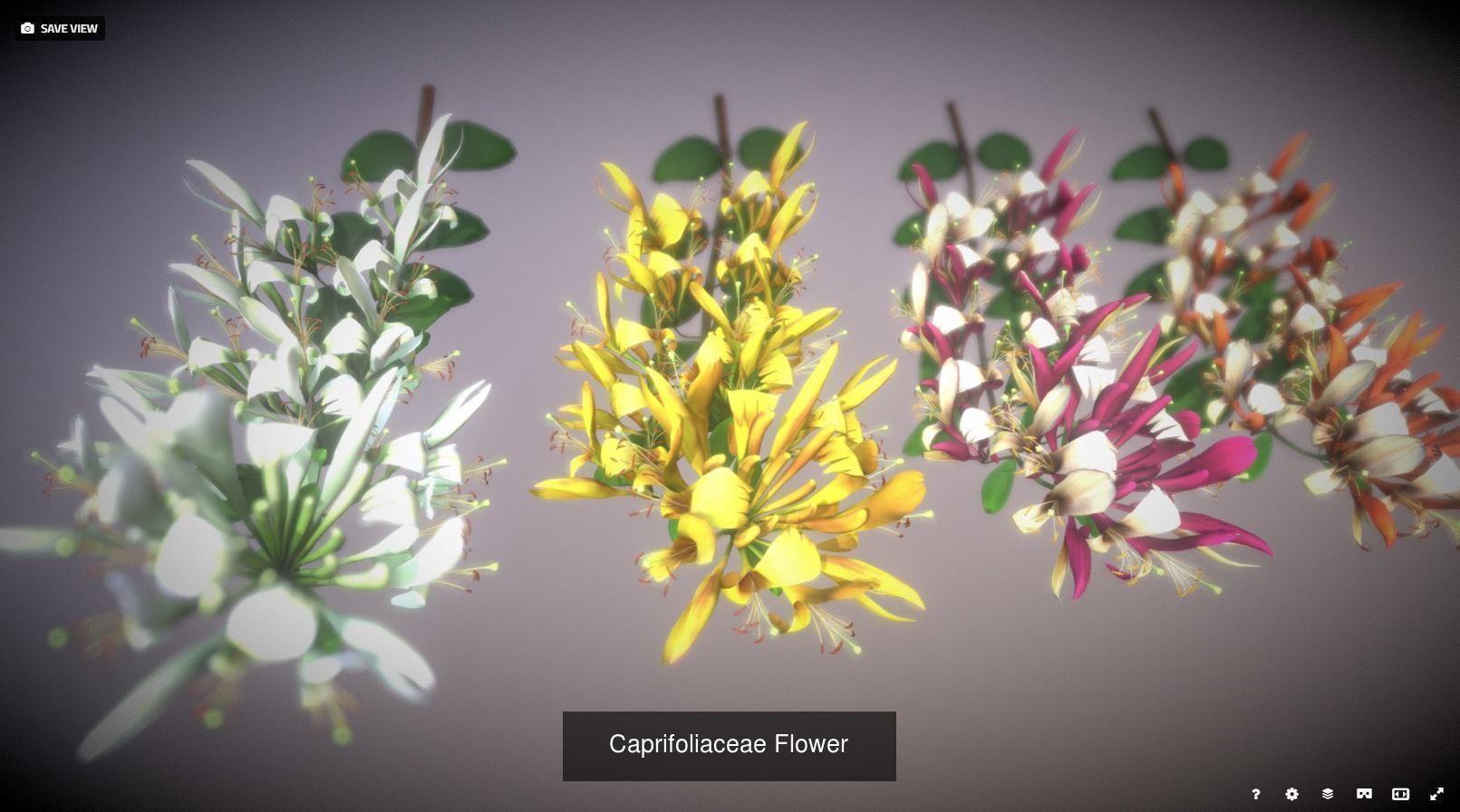 Flower Collections Country World _1