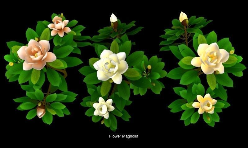 Flower Collections Country World _2