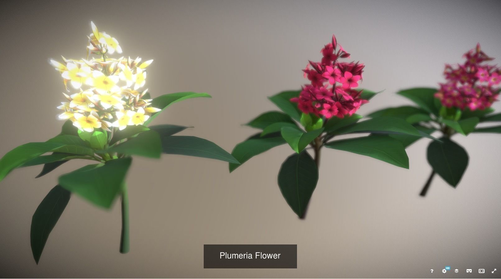 Flower Collections Country World _4