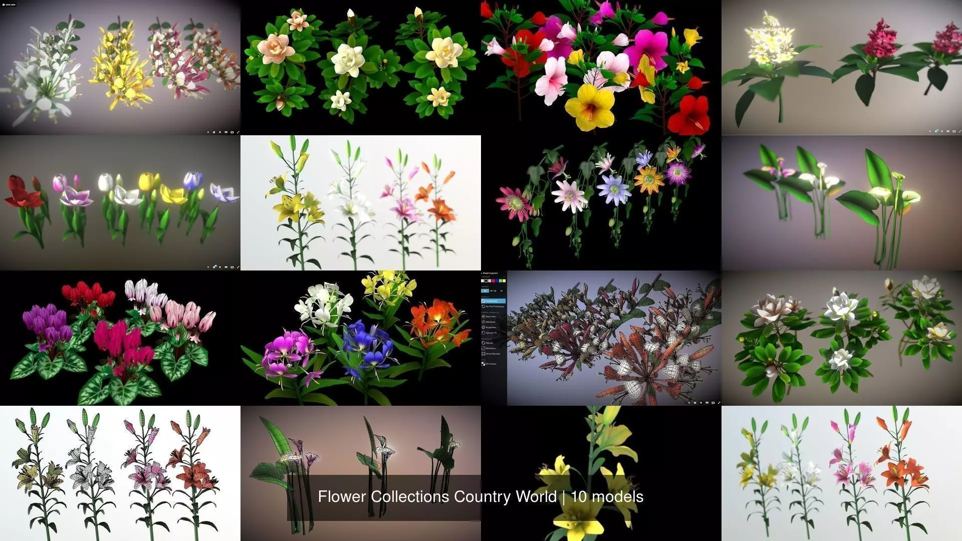 Flower Collections Country World _0