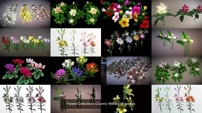 Flower Collections Country World 
