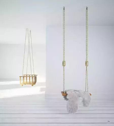 Indoor Swing