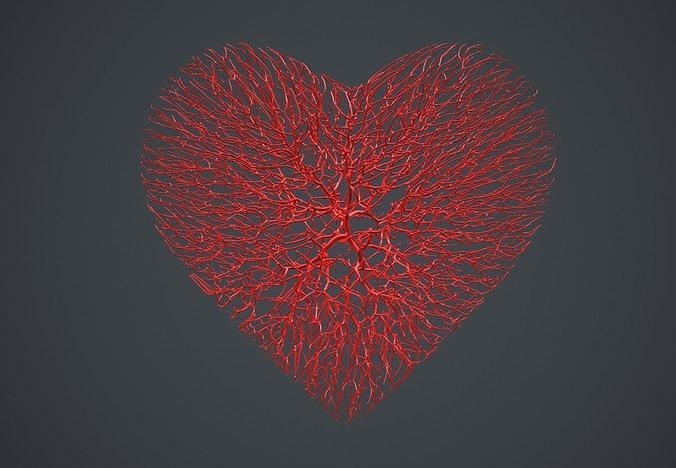 Heart shape made out of wires 3D model