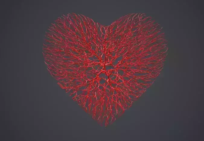Heart shape made out of wires 3D model