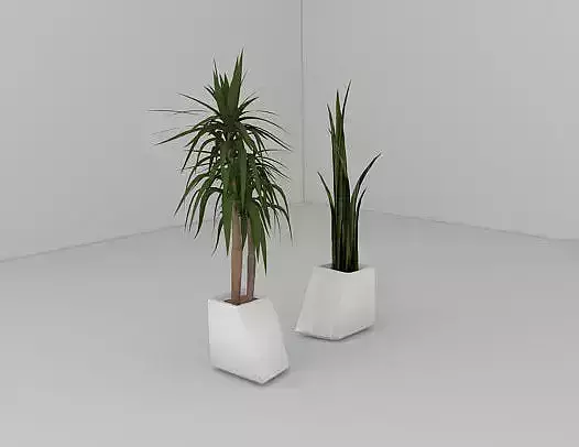 Floor Plant Pot