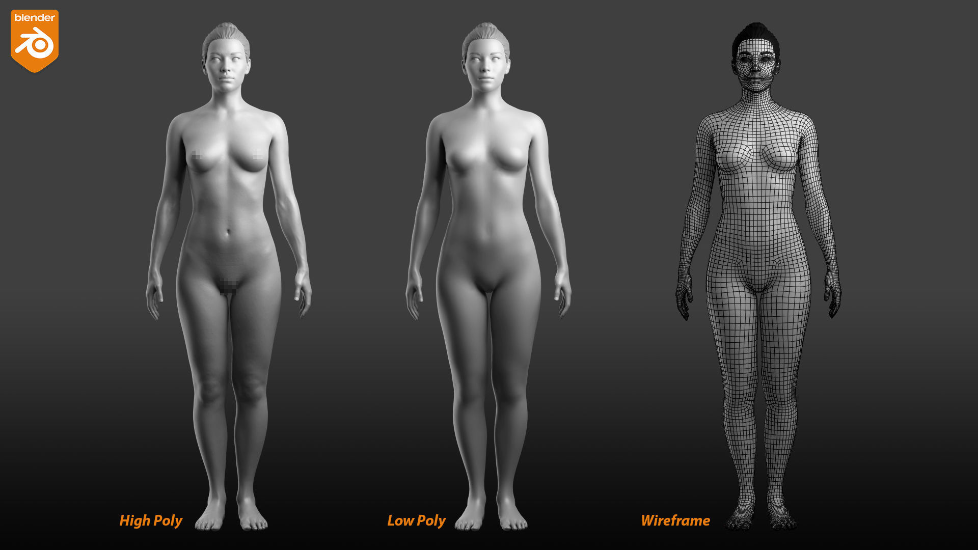 Female Custom Basemesh 3D model_26