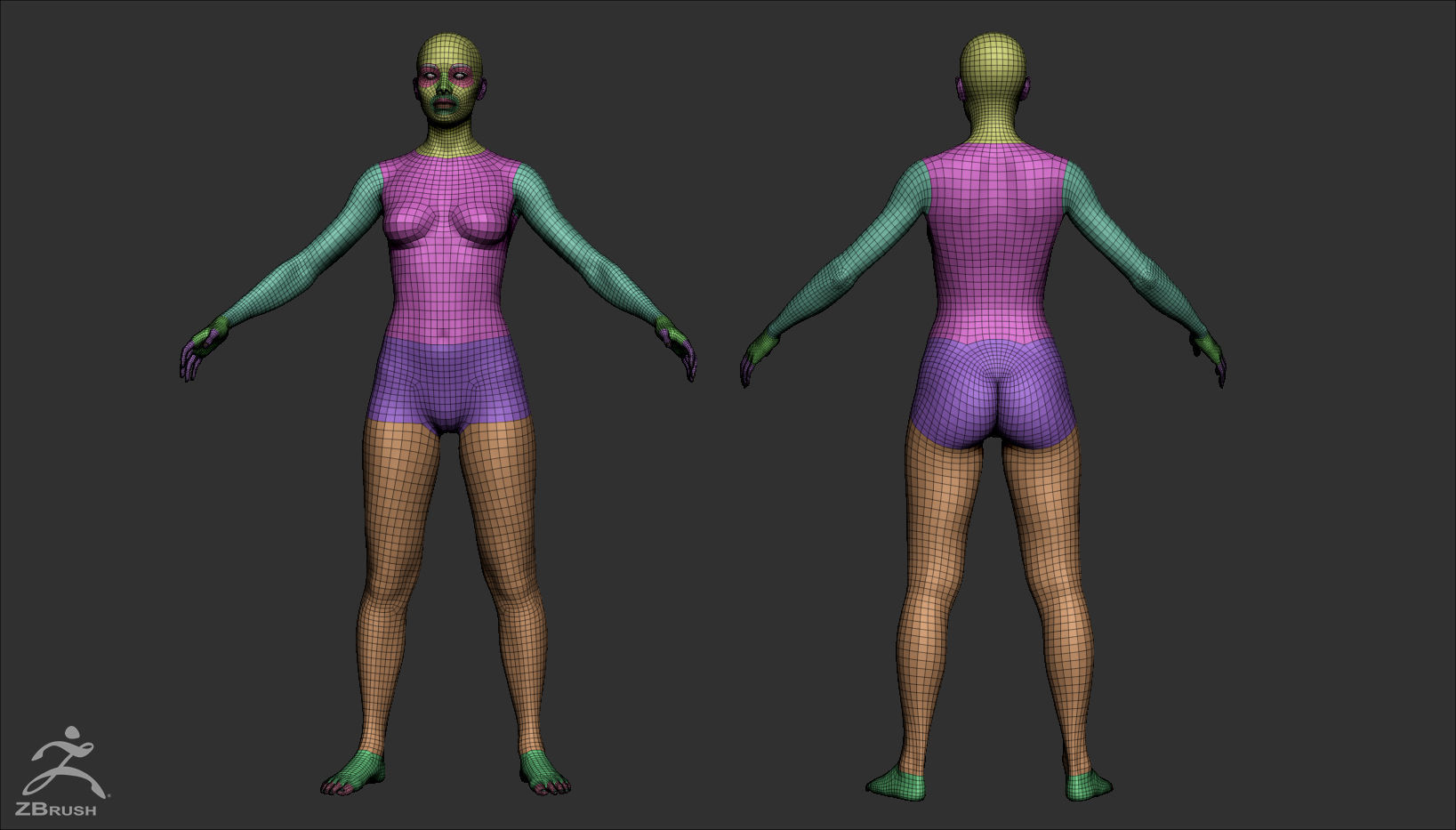 Female Custom Basemesh 3D model_19
