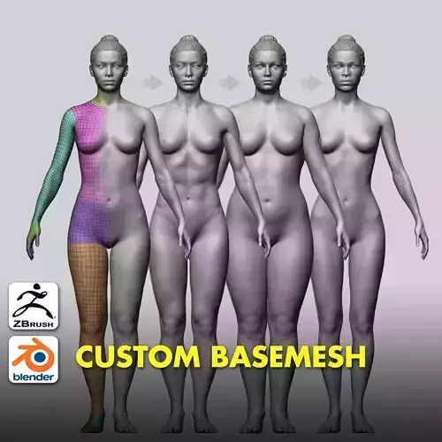 Female Custom Basemesh 3D model