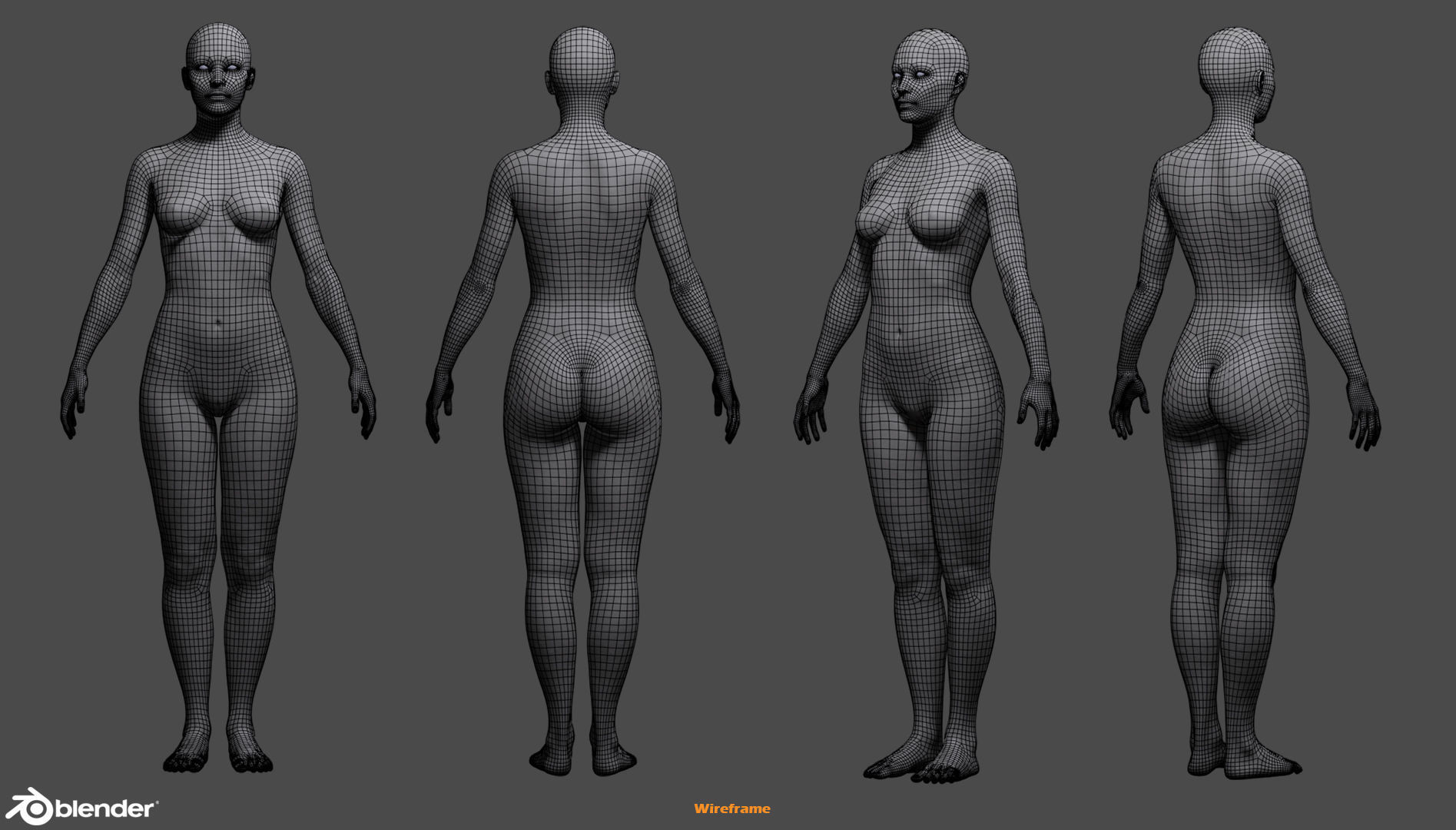 Female Custom Basemesh 3D model_32