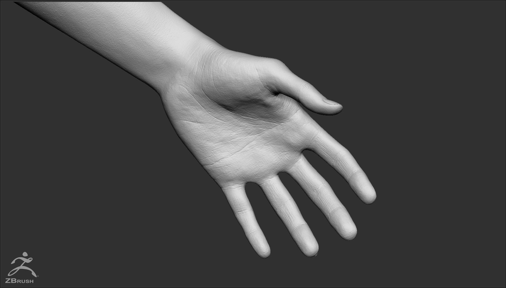 Female Custom Basemesh 3D model_17