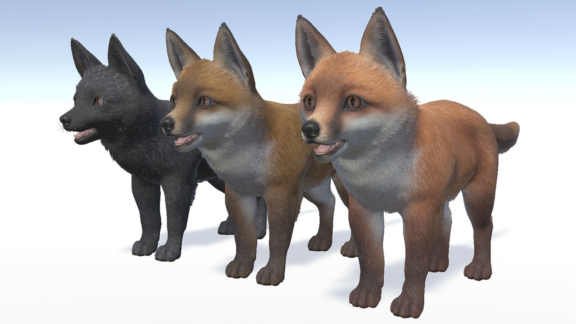 FOX FAMILY Low-poly 3D model_17
