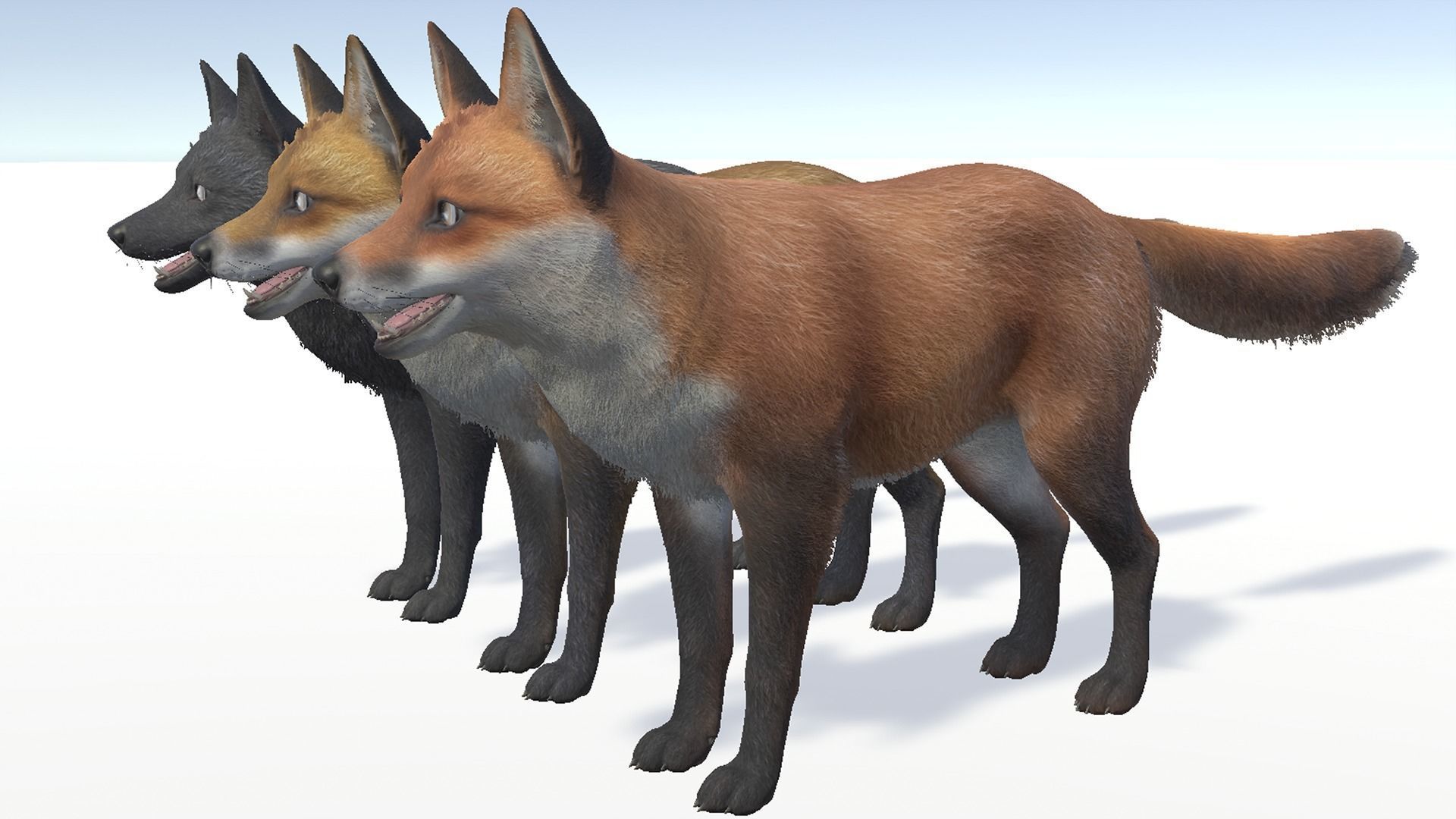 FOX FAMILY Low-poly 3D model_11