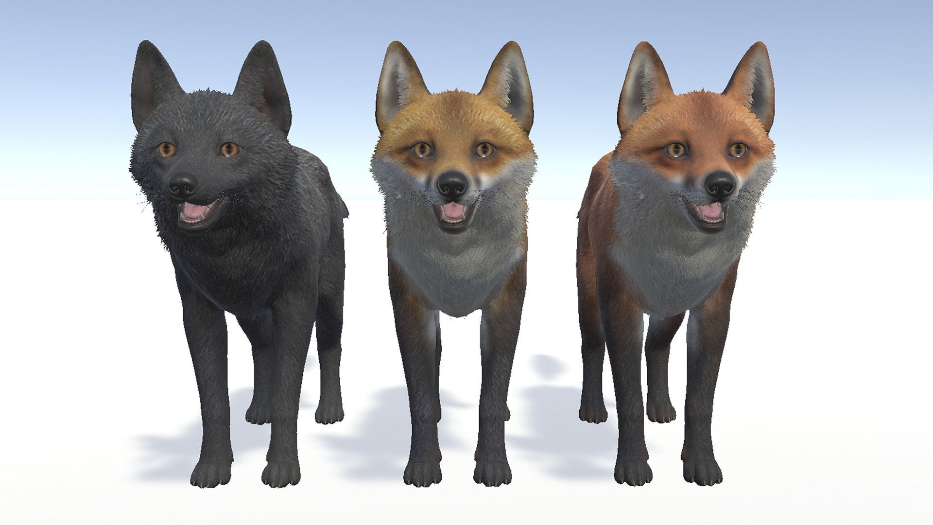 FOX FAMILY Low-poly 3D model_9