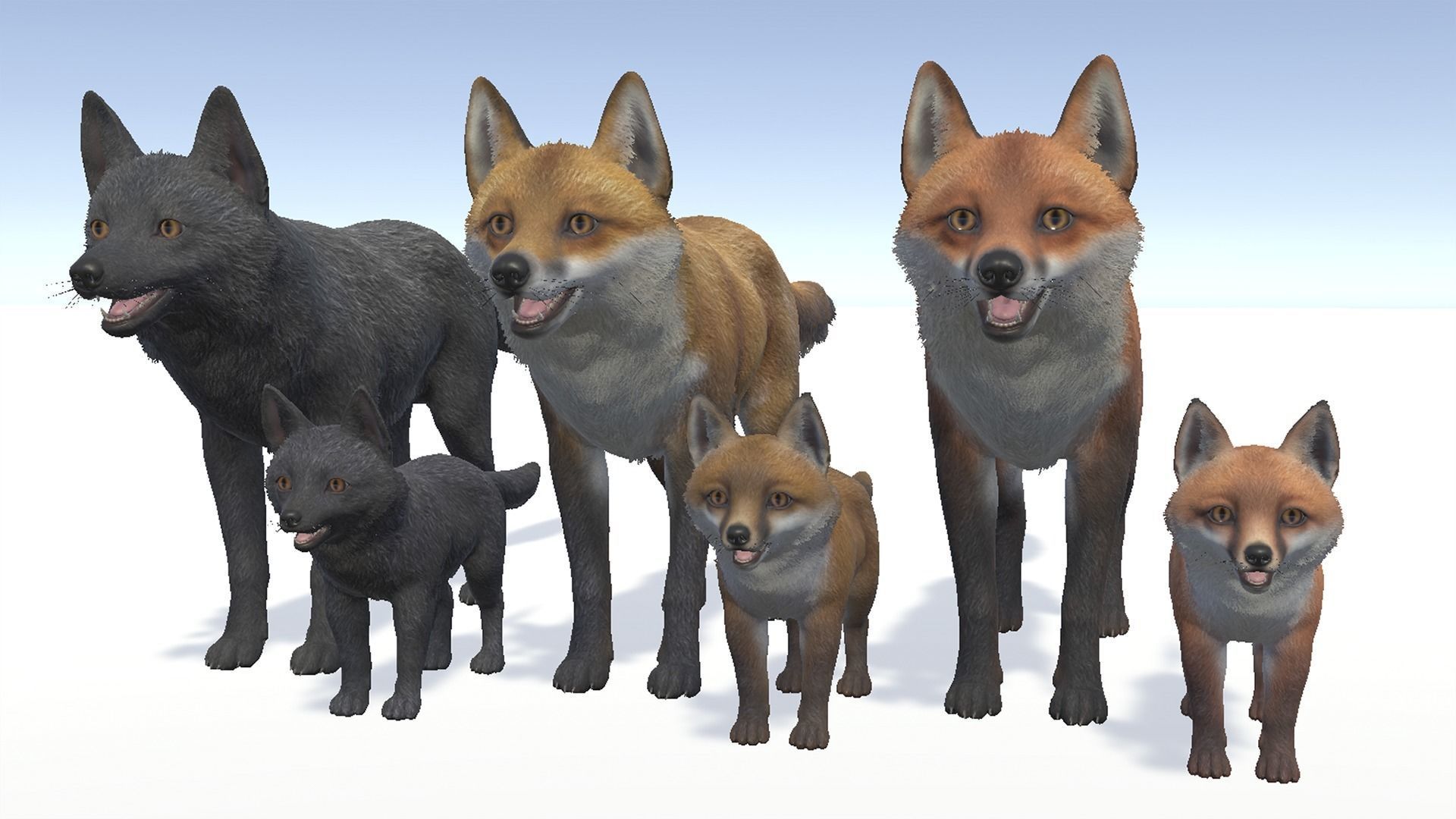 FOX FAMILY Low-poly 3D model_3