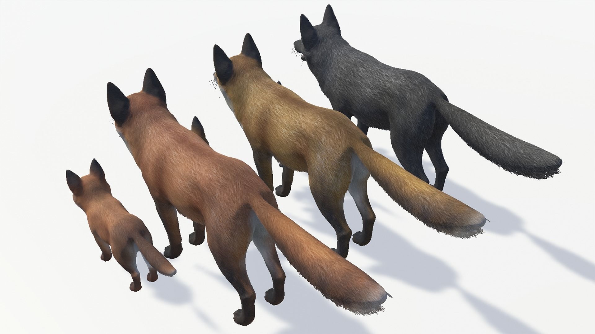 FOX FAMILY Low-poly 3D model_7