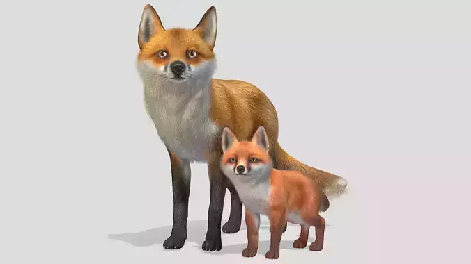 FOX FAMILY Low-poly 3D model