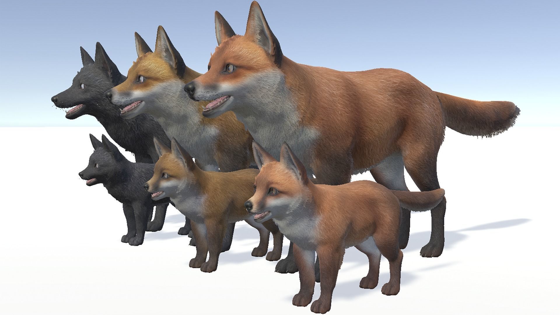 FOX FAMILY Low-poly 3D model_4