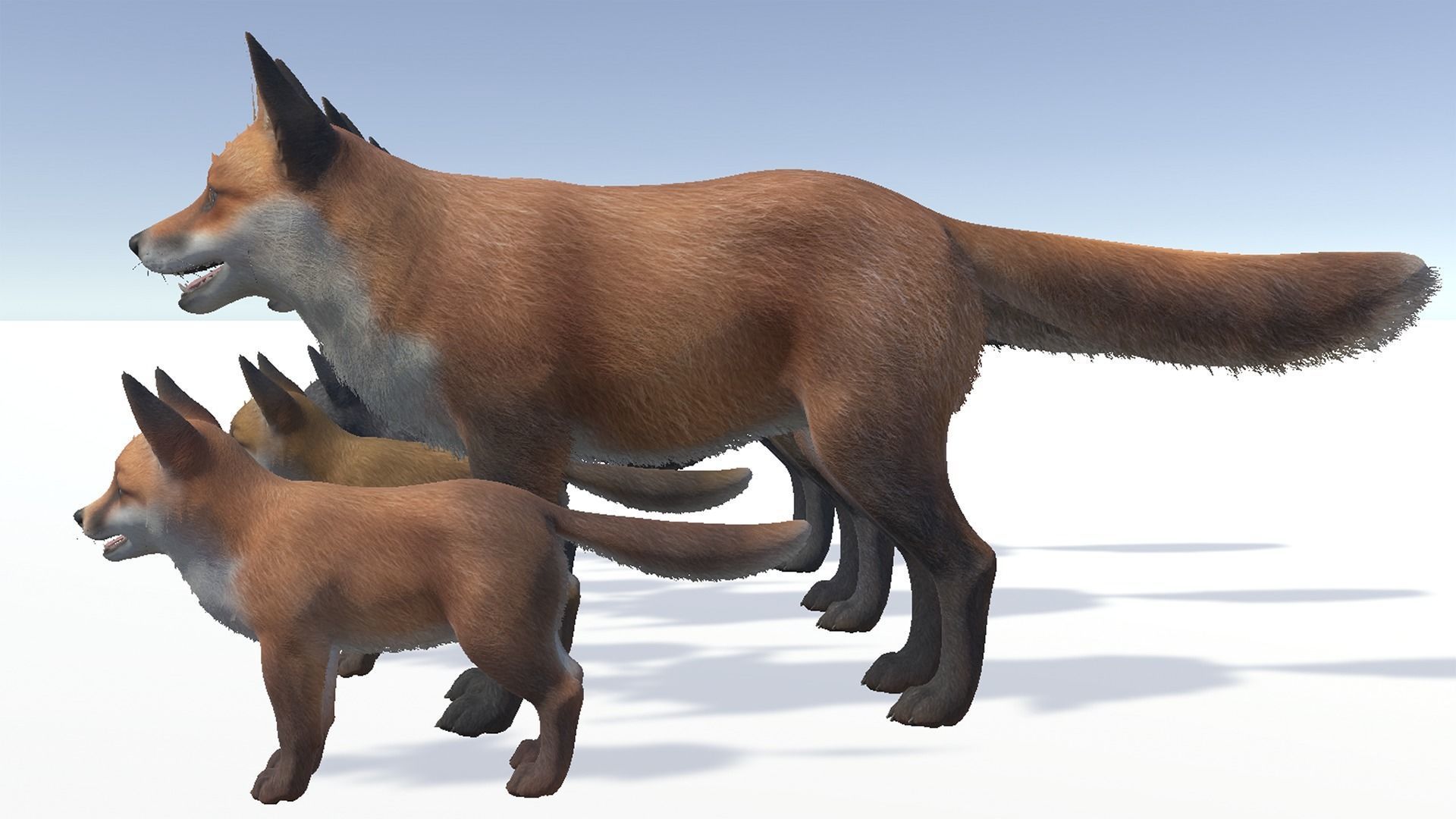 FOX FAMILY Low-poly 3D model_6