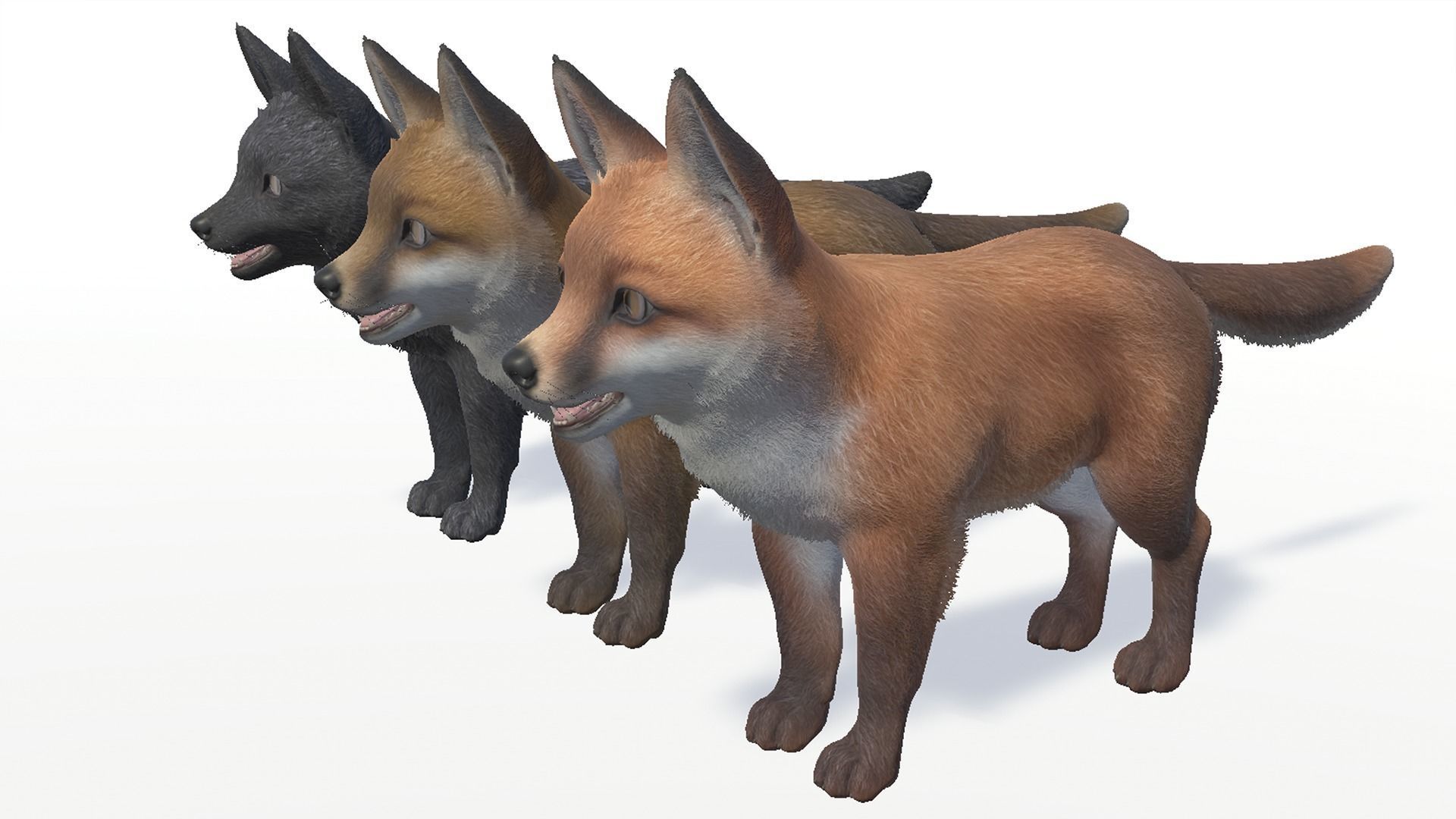 FOX FAMILY Low-poly 3D model_15