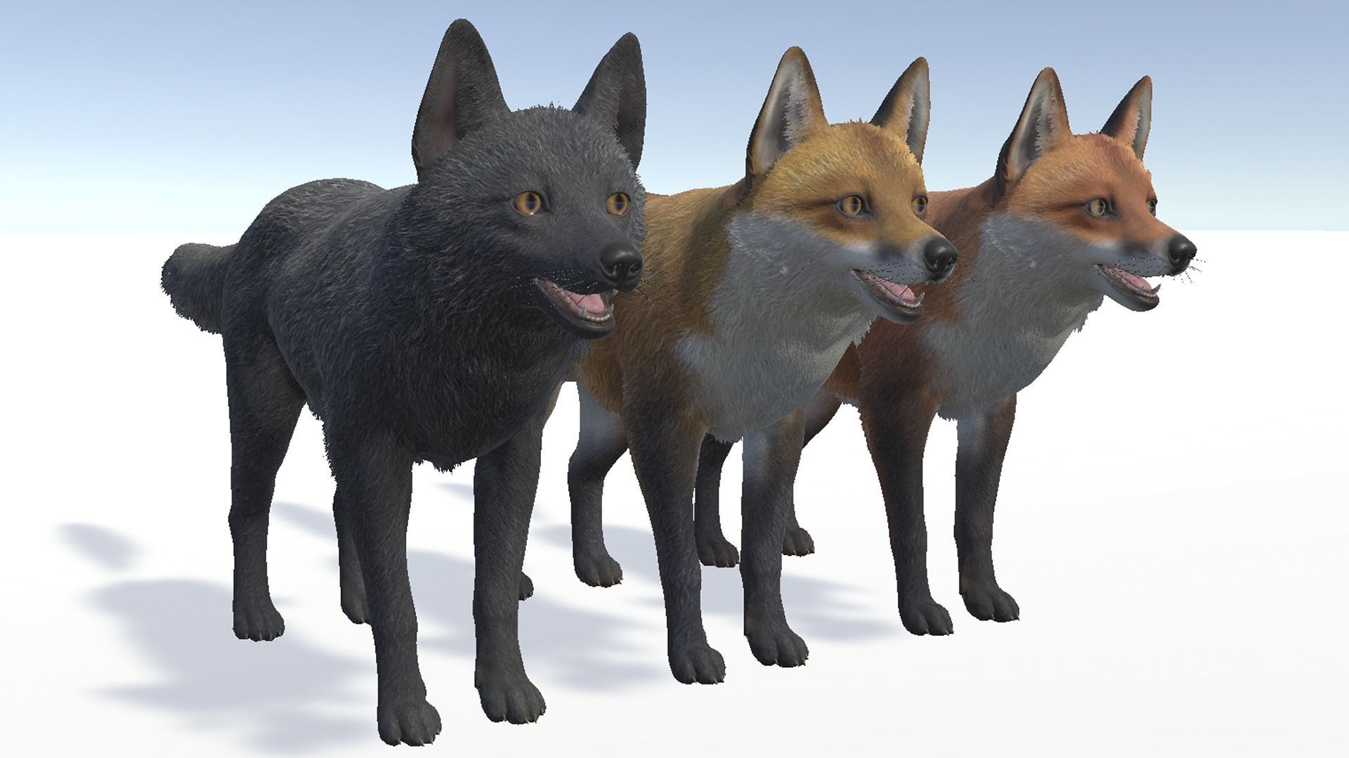 FOX FAMILY Low-poly 3D model_10
