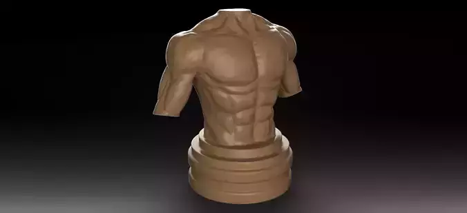 Muscular Male Torso 3D print model