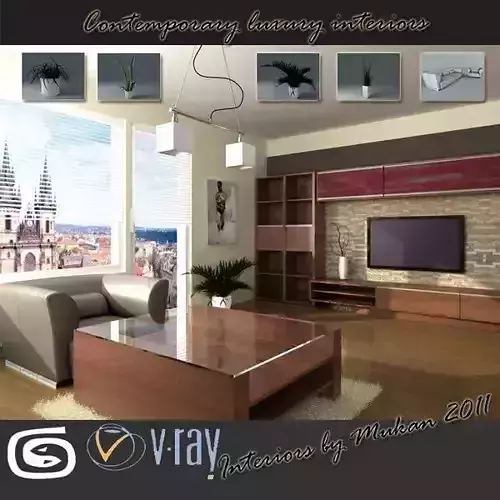 Kitchen plant in pot