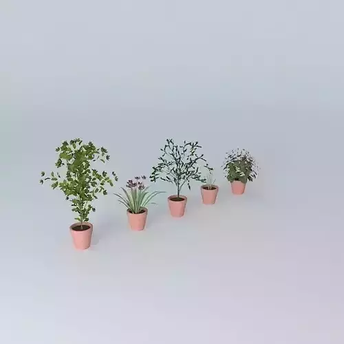 flowers three potted plants Free 3D model