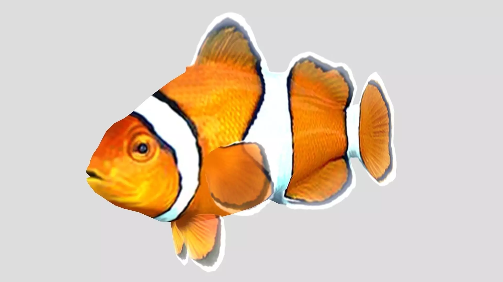 Clownfish Tropical Fish Low-poly 3D model_0
