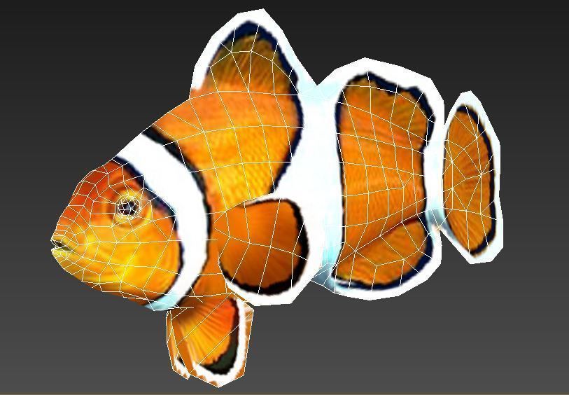 Clownfish Tropical Fish Low-poly 3D model_5