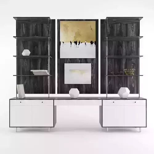 Contemporary home office shelving