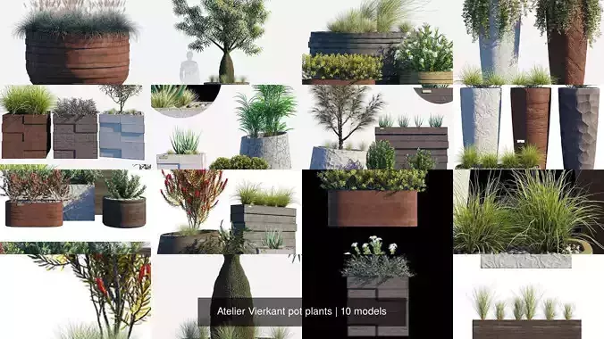 Atelier Vierkant pot plants