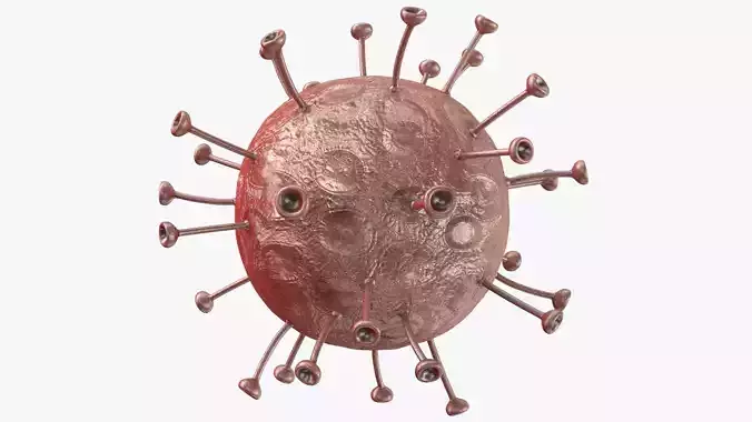 Corona Virus Covid-19