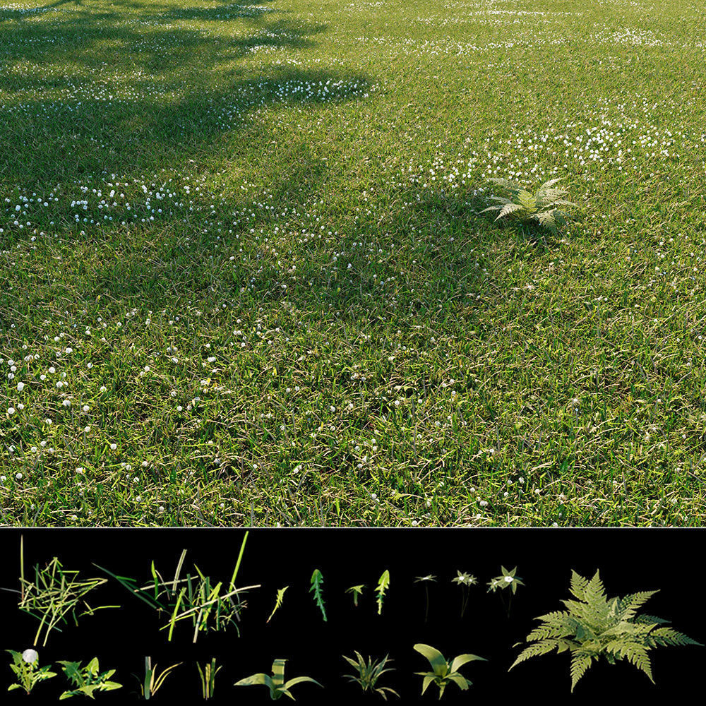 Wild grass exterior 3D model_3
