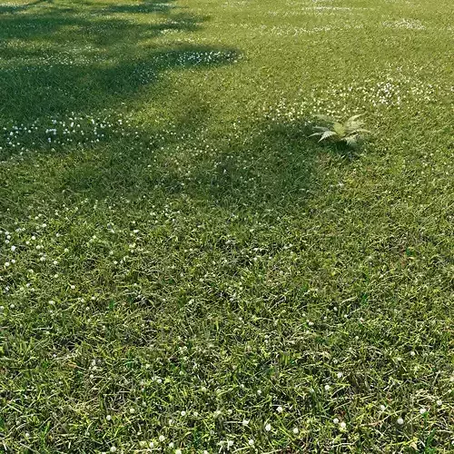 Wild grass exterior 3D model