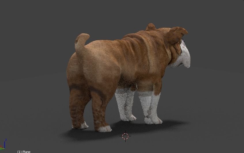 bulldog 3D model_2