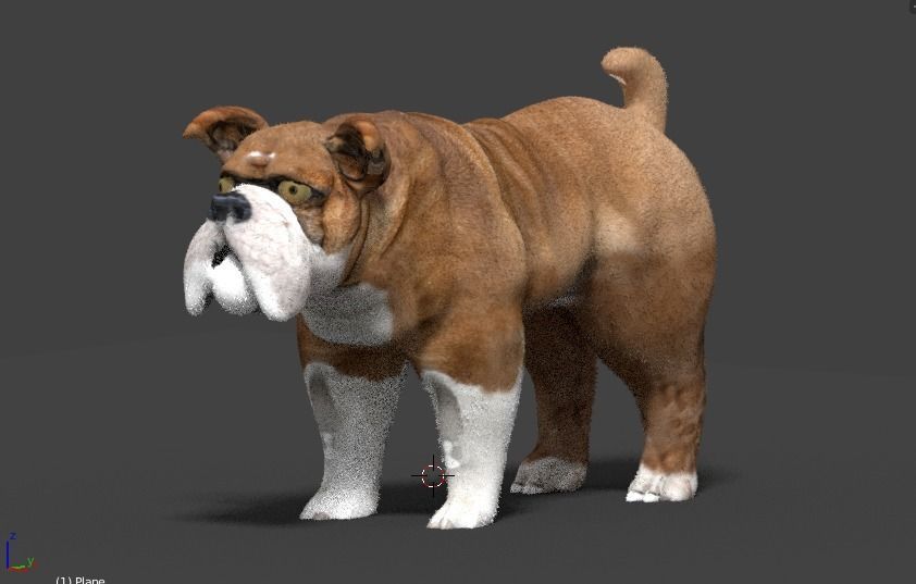 bulldog 3D model_9