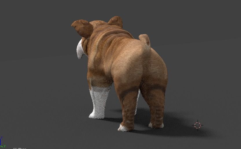 bulldog 3D model_16