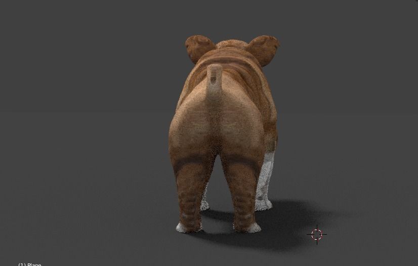 bulldog 3D model_15
