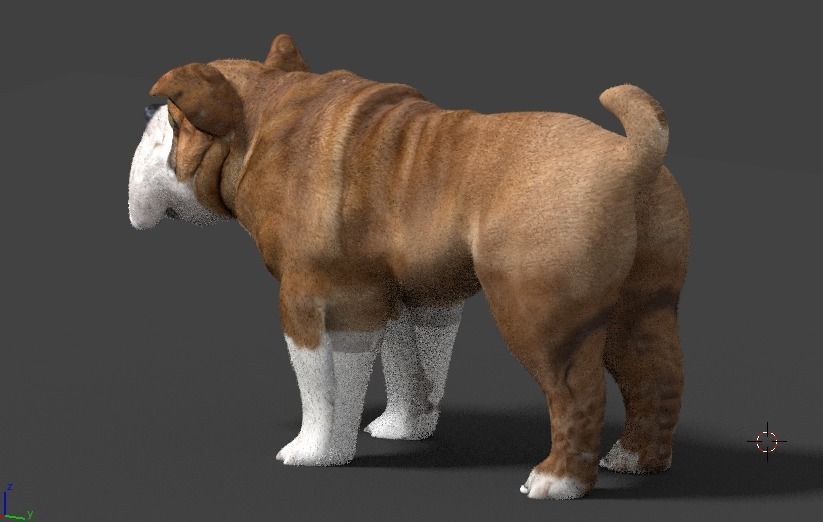 bulldog 3D model_17
